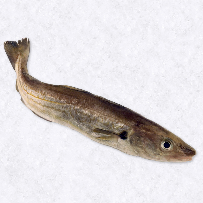 Whiting – Gutted -  Qty (boxes) 50 - Box weight 20